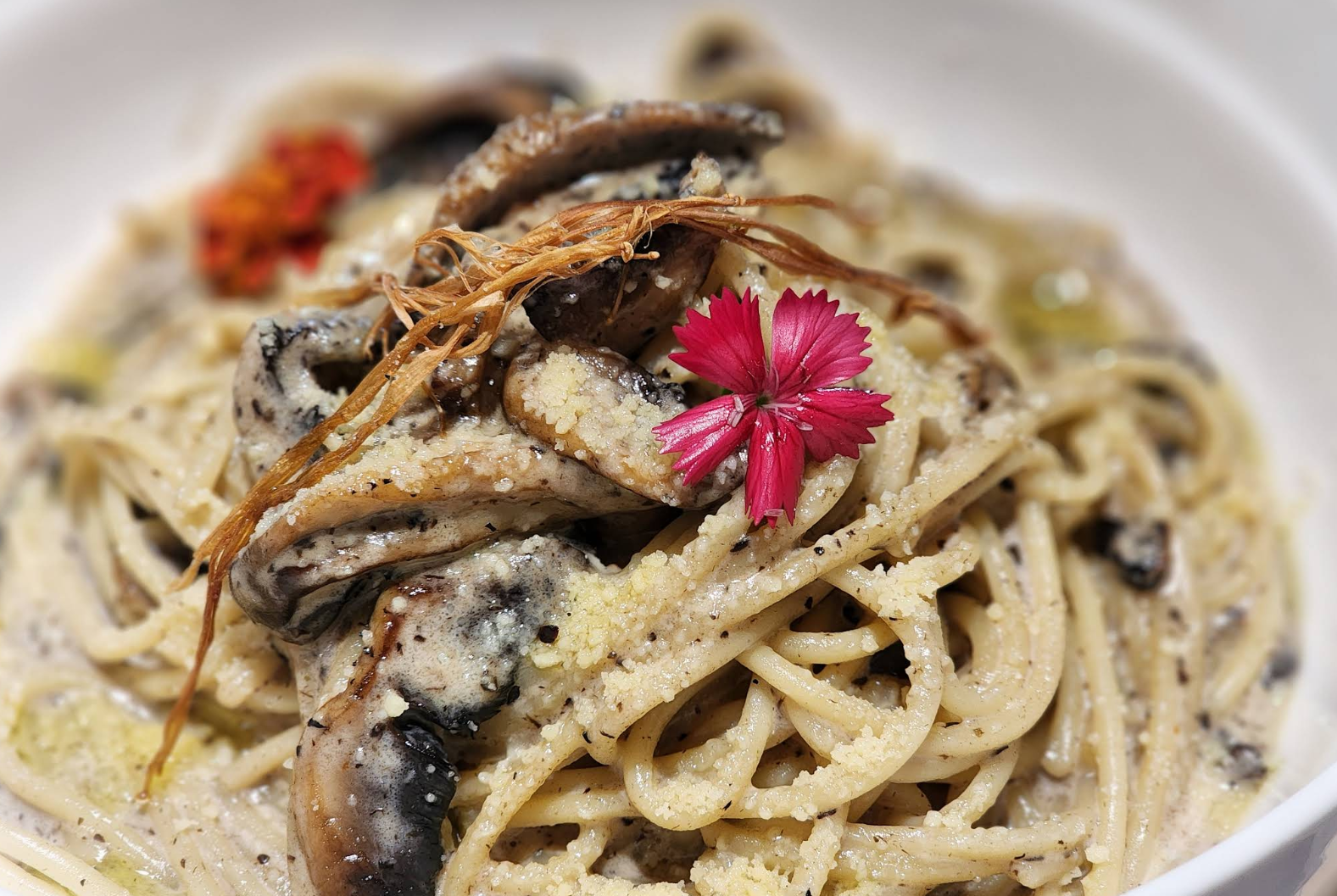 Lumière food — pasta dish